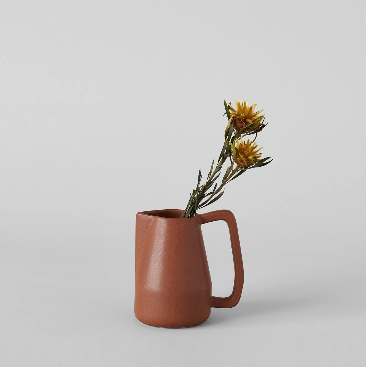Small Brown Novah Pitcher