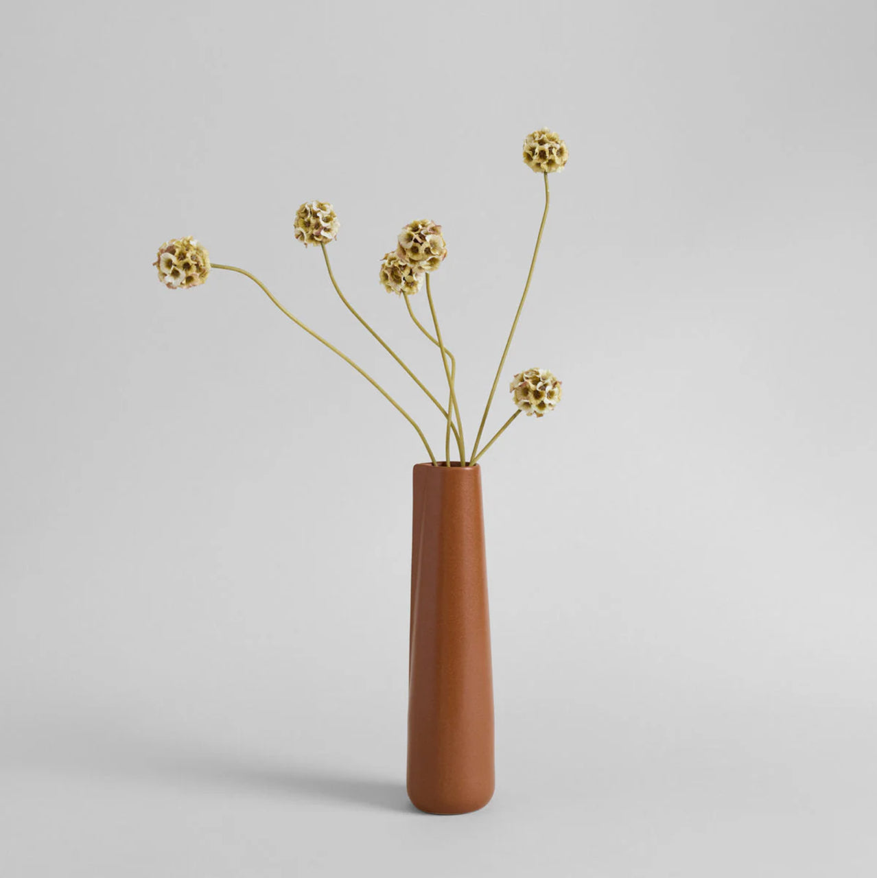 Tall Brown Novah Pitcher