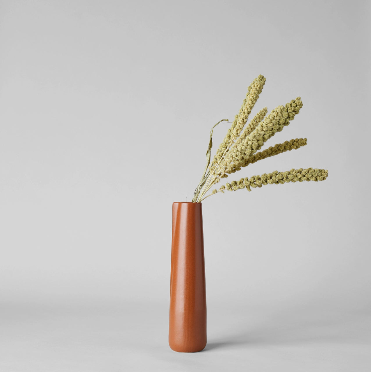 Tall Brown Novah Pitcher