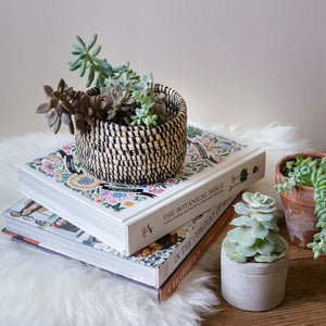 Small Raffia Basket