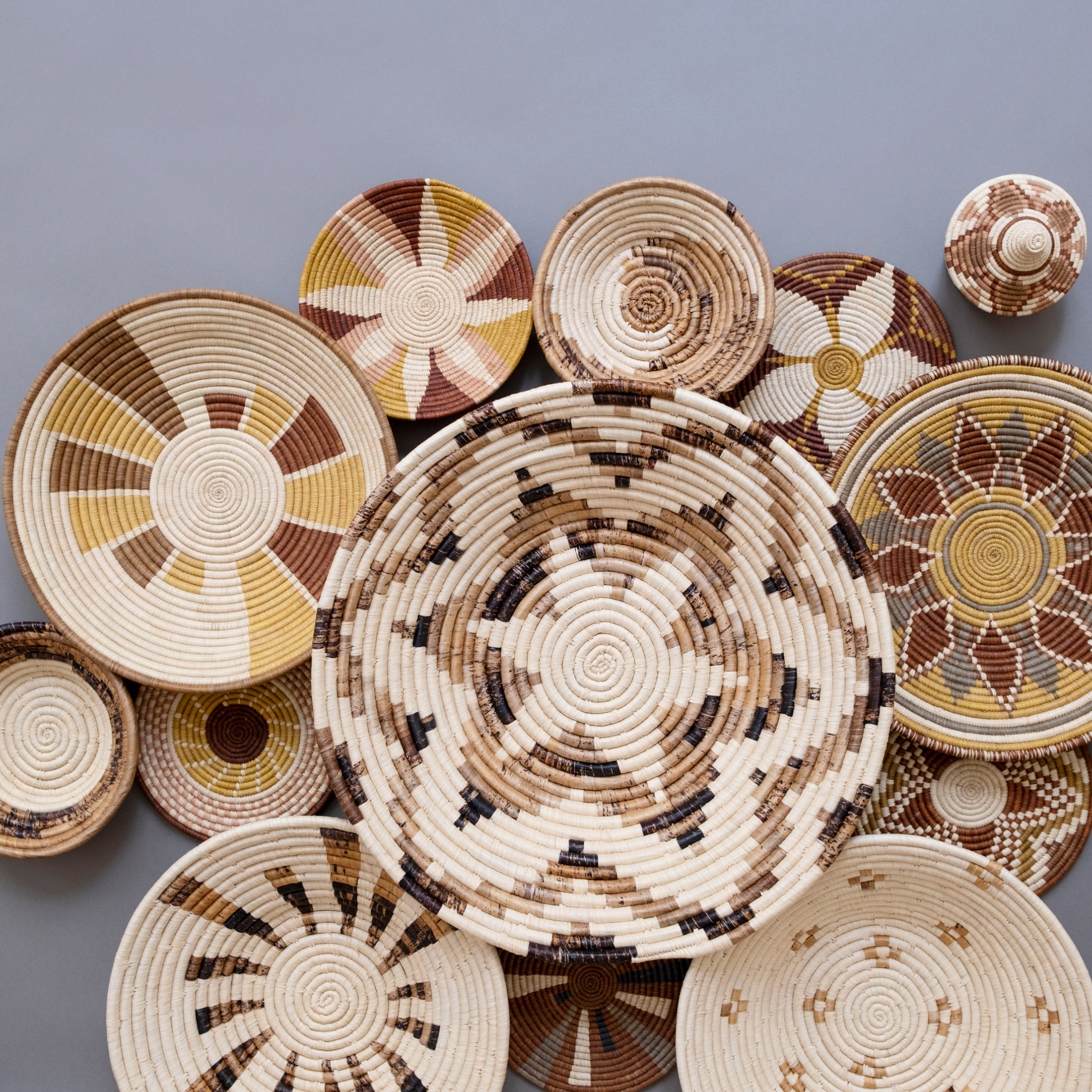 Nautilus Sun Basket