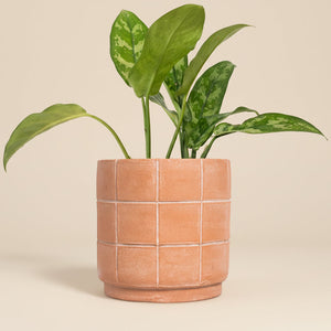 Large Grid Terracotta Planter