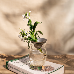 Floral Propagation Vases - Set of 3