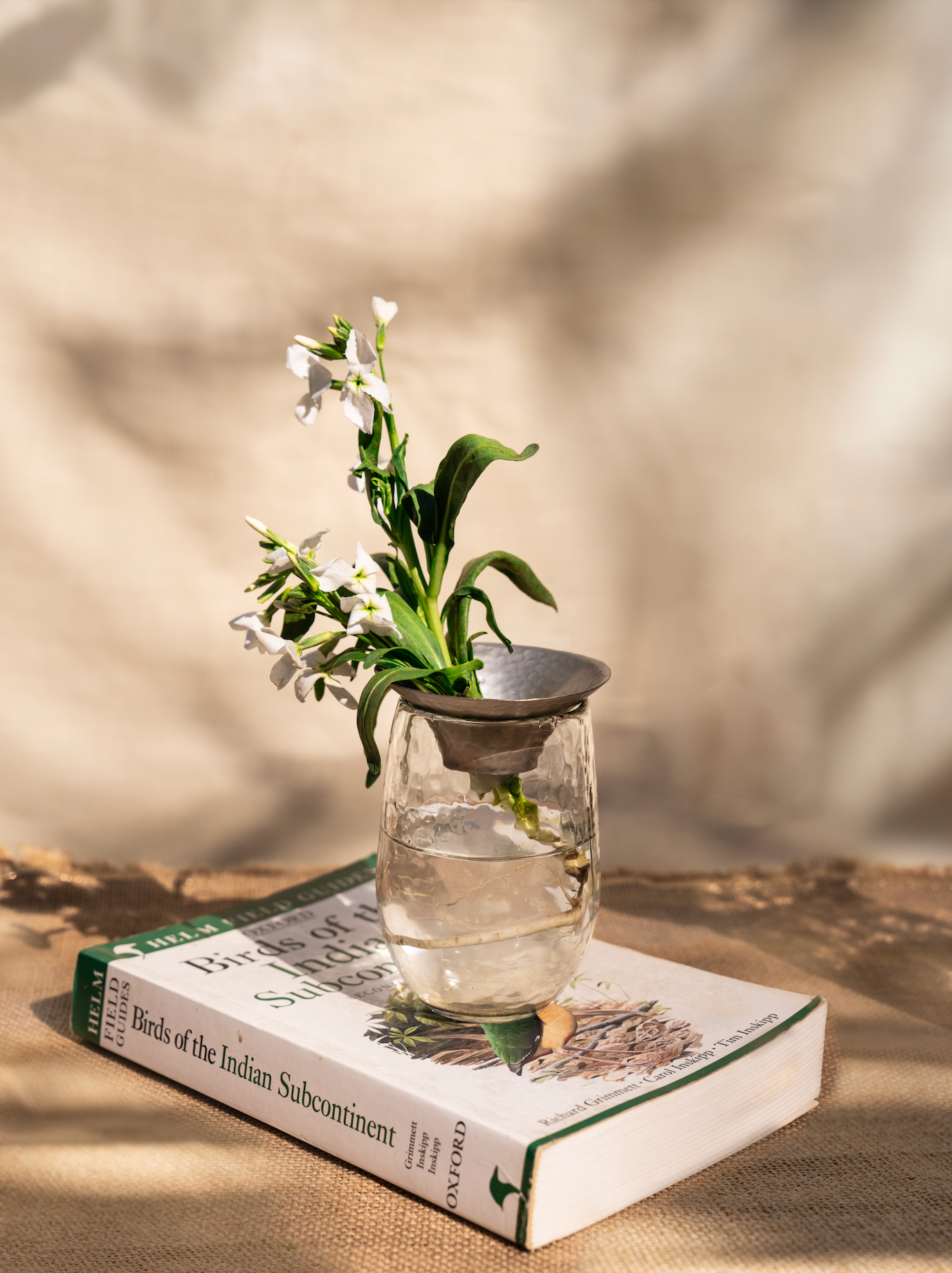 Floral Propagation Vases - Set of 3