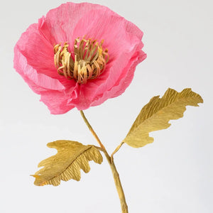 Icelandic Poppy Single Stem