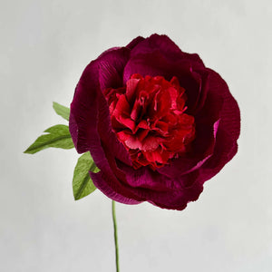 Fluffy Peony