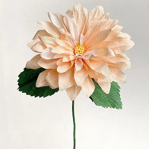 Dahlia Single Stem