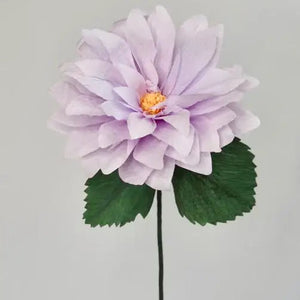 Dahlia Single Stem