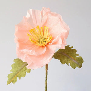 Icelandic Poppy Single Stem