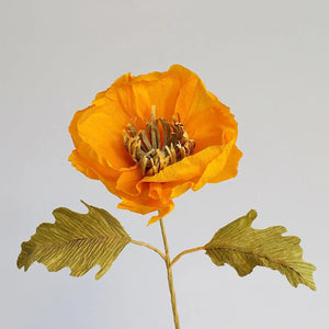 Icelandic Poppy Single Stem