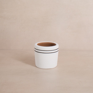 White Stripe Terracotta Planter