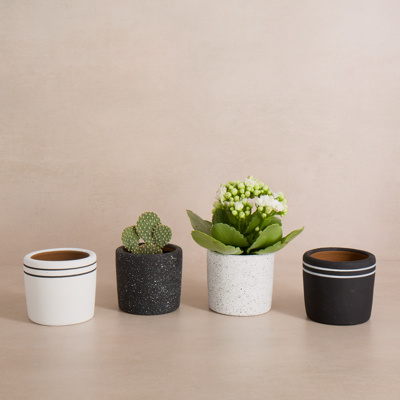 White Stripe Terracotta Planter