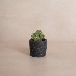 Black Speckle Terracotta Planter