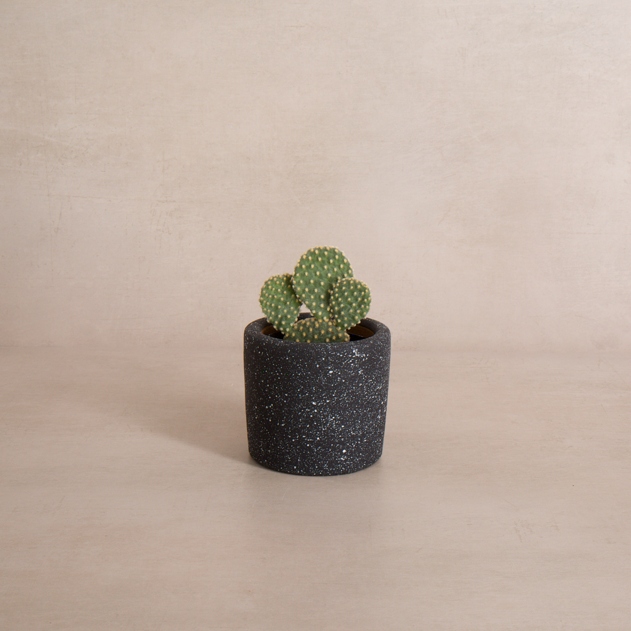 Black Speckle Terracotta Planter