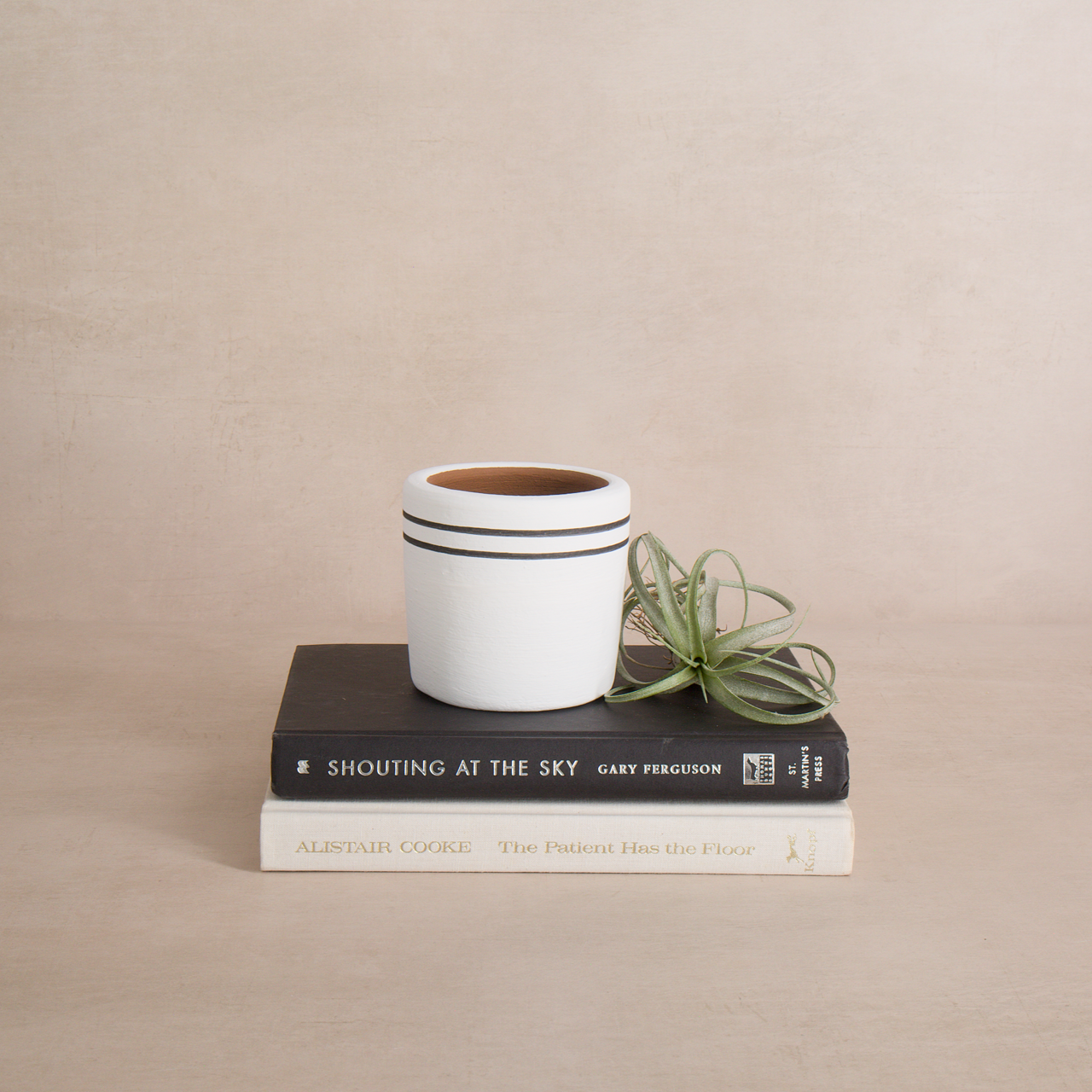 White Stripe Terracotta Planter