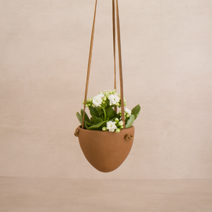 Terracotta Hanging Planter