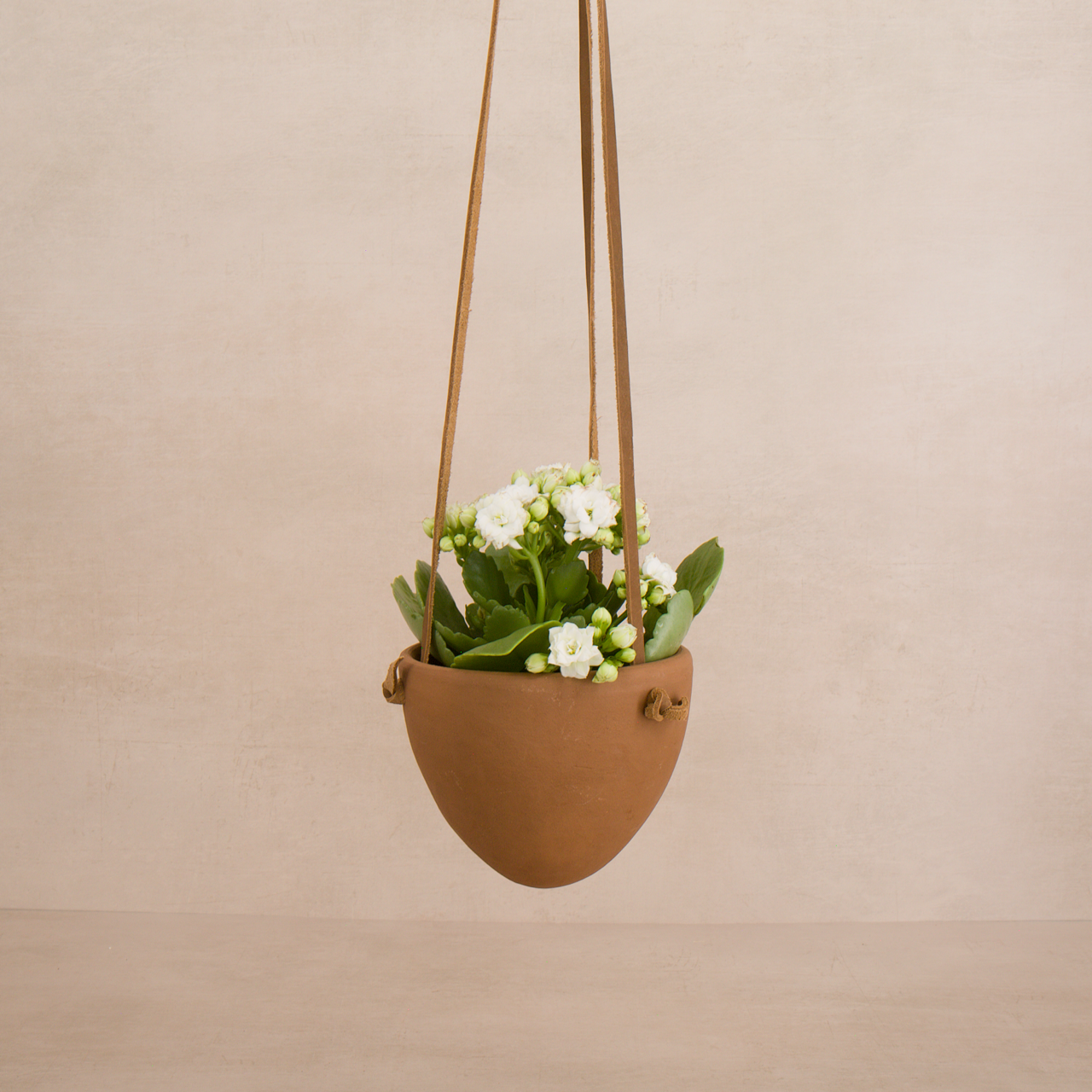 Terracotta Hanging Planter
