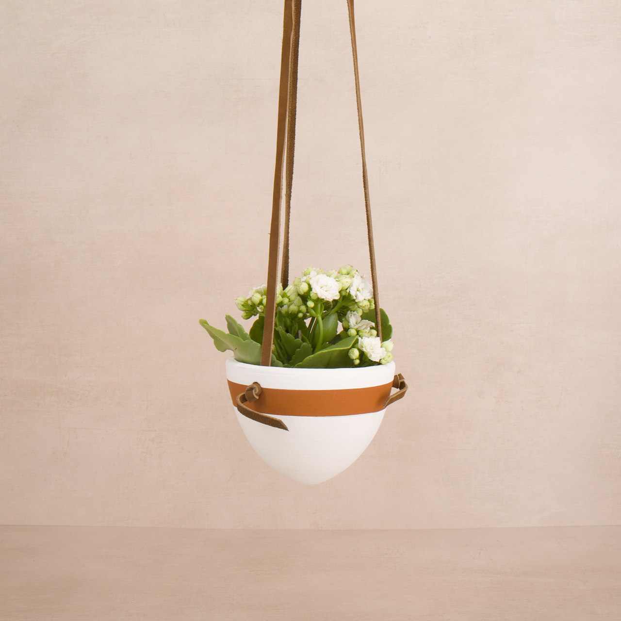 White Terracotta Hanging Planter